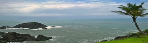 Online Consent Management & Monitoring System