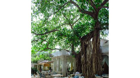 10 restaurants in Mumbai and New Delhi for al fresco dining in this ...