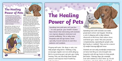 The Healing Power of Pets (teacher made) - Twinkl