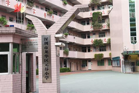 深圳市龙华区元芬小学收费标准(学费)及学校简介_小升初网