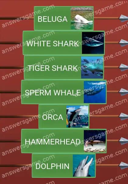 Huge underwater Word Logic Castle 4 Answers