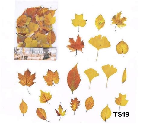 Arteria. Transparent Sticker Cutouts- Colours of Fall