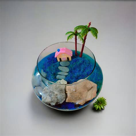 Shop Easy DIY Terrarium Kits Online India | Cozygarden.in – COZY GARDEN