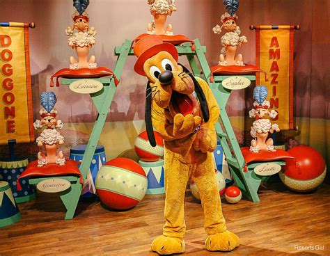 Disney World Character Meet-and-Greet Changes for This Summer (A Park by Park Breakdown)