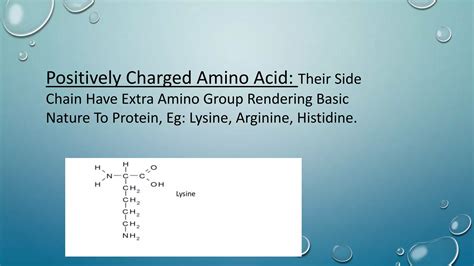 Classification of amino acid By Majedin Reza | PPTX