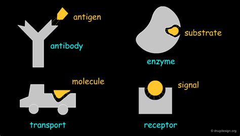 Image result for Molecular Docking Tutorial