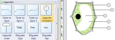 Diagrammes de cellules - Téléchargement gratuit
