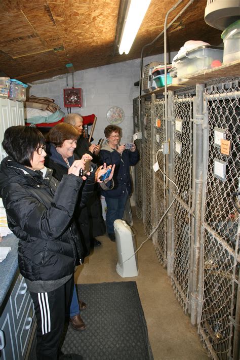 Animal shelter fundraising drive now in grant-writing stage - Greene ...
