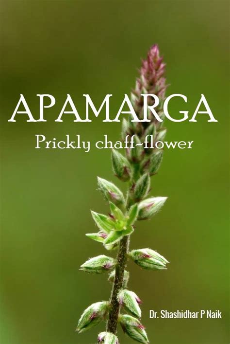 Buy APAMARGA Prickly chaff-flower Book Online at Low Prices in India ...