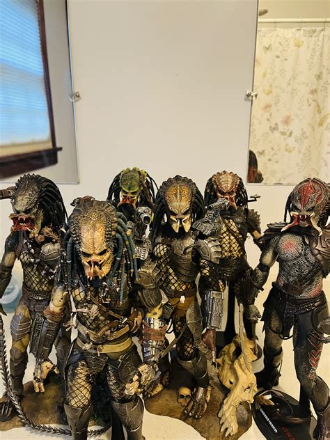 Image result for Predator Collection