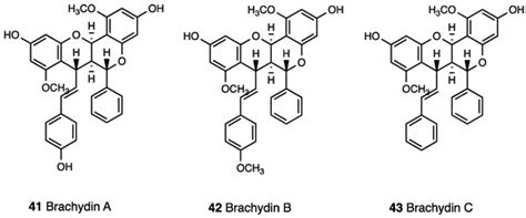 Opioids and Their Receptors: Present and Emerging Concepts in Opioid ...