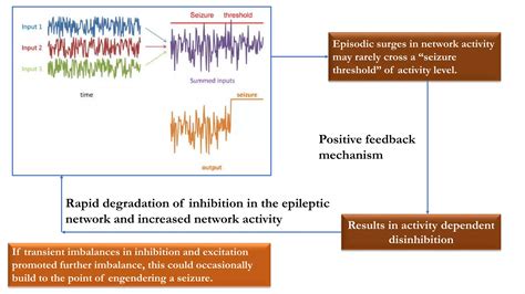 Basic mechanism of epilepsy | PPTX