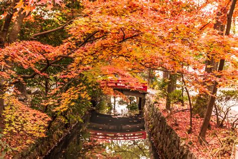 Autumn in Japan: Best Places to Visit During Fall in Japan - MACHIYA ...