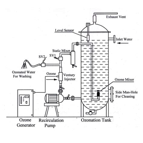 Ozone Solutions for Washing Fruits and Vegetables | Creative OZ-Air