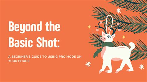 Image result for Using a Pro Satispher