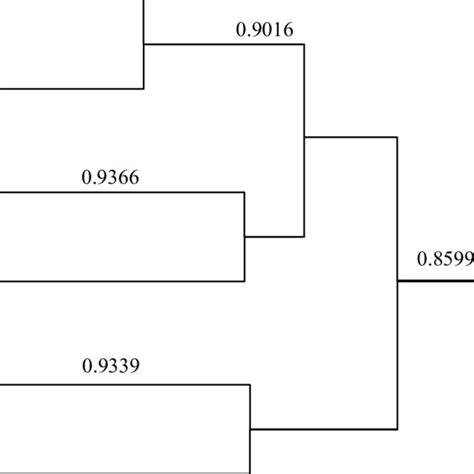 Image result for Dendrogram Excel