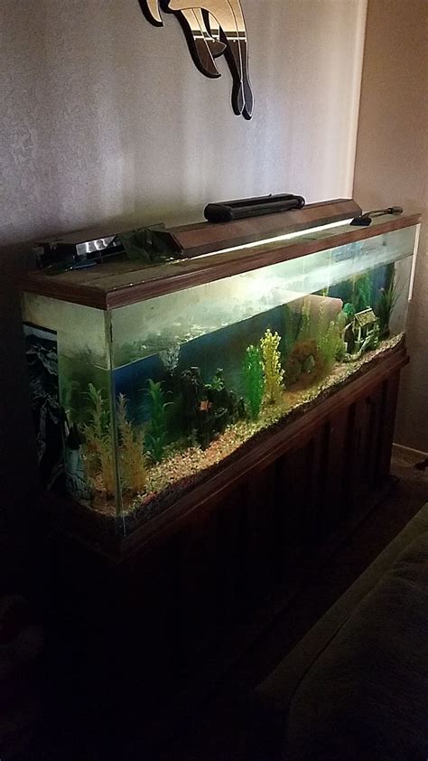 100 gallon fish tank for Sale in Hesperia, CA - OfferUp