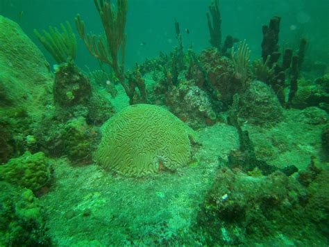 DOCKYARD DIVERS (2026) All You Need to Know BEFORE You Go (with Photos ...