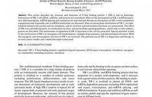 y box binding protein 1 yb 1 and its functionsDownload it from y box ...