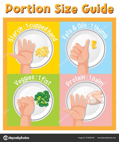 Learn How Compare Food Portions Using Hand Sizes Stock Vector by ©brgfx 675000168