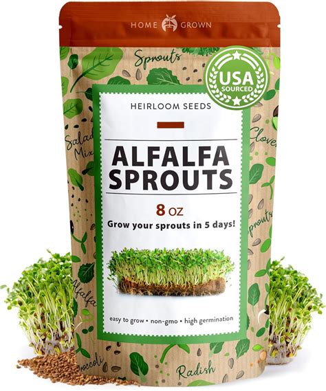 Amazon.com : HOME GROWN Alfalfa Sprouting & Microgreens Seeds - 𝗡𝗢𝗡-𝗚𝗠𝗢 ...
