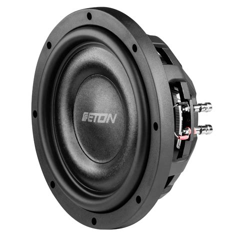 Eton MW 10 FLAT 10inch Subwoofer — The Audio Co.