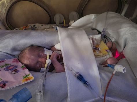 Dewitt Obits - Obit - DeWitt Daily News