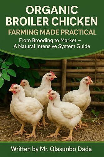 Organic Broiler Chicken Farming: A Practical Organic Guide from ...