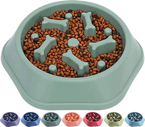 Pups&Pets Slow Feeding Pet Bowl, No Choking Round Feeder Bowl with Bone ...