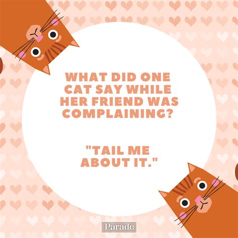 70 Funny Cat Jokes Fur You Right Meow - Parade Pets