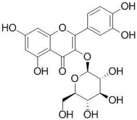 Effect of Isoquercitrin on Free Fatty Acid-Induced Lipid Accumulation ...