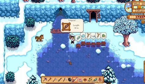 Lingcod Stardew Valley Location (How to Catch It) | Gamesbustop