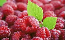 Fresh Photo Hd by Fresh Fruit Desktop Backgrounds 1920x1200 Hd Wallpapers Fresh Photo Hd