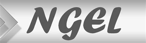 Buy Ngel Kitchen Stainless Steel Hot Plate Stand - Pack of 3 Stainless ...