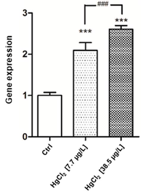 Effects of Two Sublethal Concentrations of Mercury Chloride on the ...