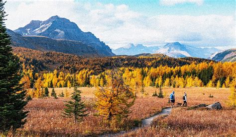 5 best US national parks for stargazing - Tripadvisor