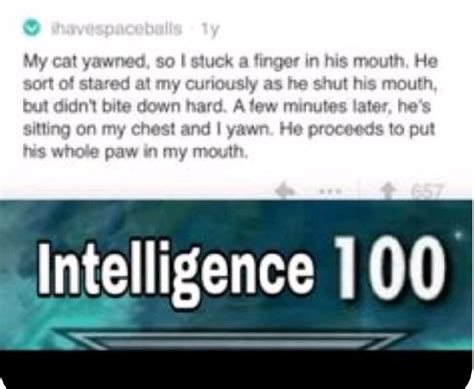 Intelligence Memes - Worst Jokes Ever