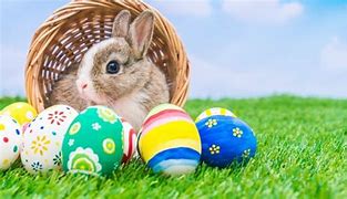 Image result for Bunny with Eggs