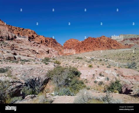 Sunny view of the landscape in Calico Basin Trail at Nevada Stock Photo ...