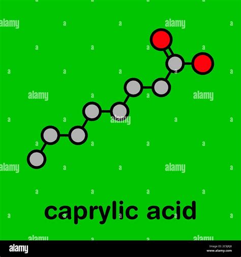 Caprylic (octanoic) acid molecule. Common saturated medium-chain fatty acid. Stylized skeletal ...