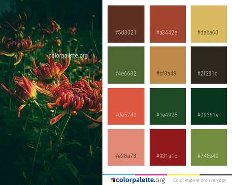 FlowerColor 的图像结果