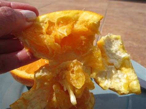 Image result for Tangerine Computer Systems