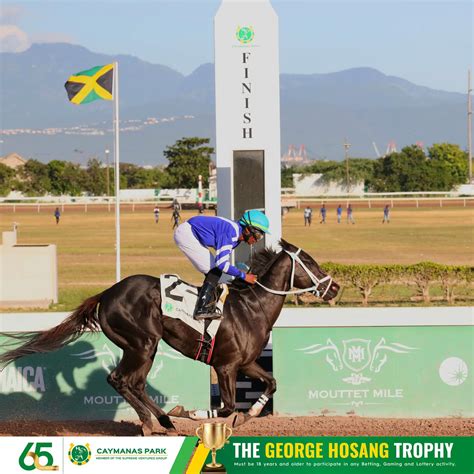 Caymanas Park Racing | Horse Racing Track (@caymanasracing) • Instagram ...