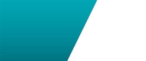 Continuous Diagnostics and Mitigation (CDM)