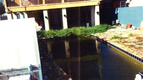 FOX 8 Defenders: Blighted Gentilly pool creates health concerns for ...