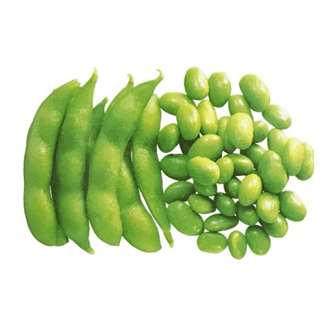 Edamame Bean, Healthy, Appetizer, Snack, Protein PNG
