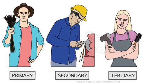 Basic Sector 的图像结果