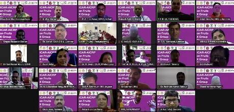 X Group Discussion of ICAR-AICRP on Fruits organised | ICAR