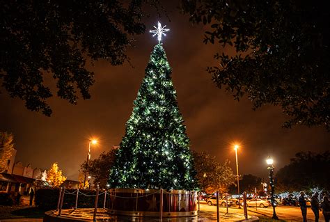 https://discovergreenwood.com/wp-content/uploads/2024/11/GW_Holiday_LP_1000x675_Slider_TreeLighting-1.png?utm_source=chatgpt.com
