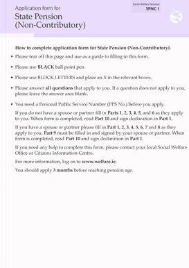 2010 Form IE SPNC 1 - Blank Fillable Template | Fill Out, Print ...